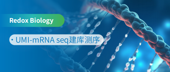 Nrf2MIDH2D{wW򲡃Ƥ漚Ѫ