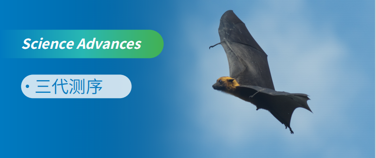 Mb²ȮMDVKʾʳ߻ݻC