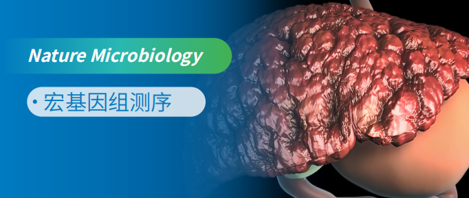 ϸM˾ʹʳշͨ^xʮNASH