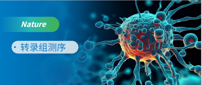 RNA-seqоNatureMK(MKsports)ɷݹ˾ - Mk SportsU8ʡ[ٷ]޹˾J9|(й)J.9վ-ϷһƷơDB콢(йٷ)޹˾MK(MKsports)ɷݹ˾ - Mk Sports