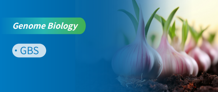 ĻMWǶȽNȺMʷ[oԠĶ