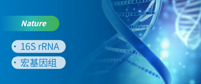 16S rRNAMyͲžķ