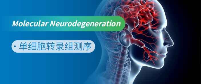 μD䛽Mо»ơAPO4 ͨǽͽ⽵ʹСĺ