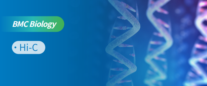 ŵHi-Cg12ּ׵3Dṹͼ