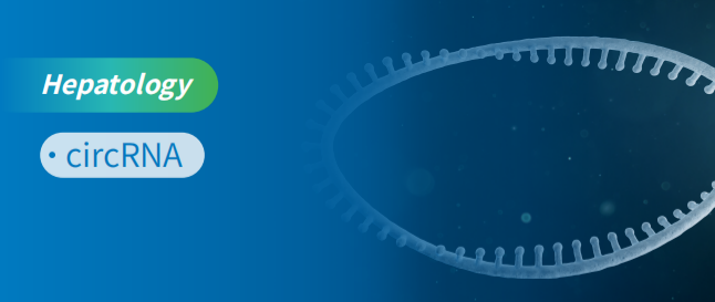 ʾcircRNAaµ׵ĴٰC