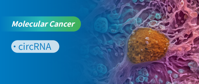 EWSR1TcircNEIL3ͨ^IGF2BP3Mz|Mչw錧ľɼƘO