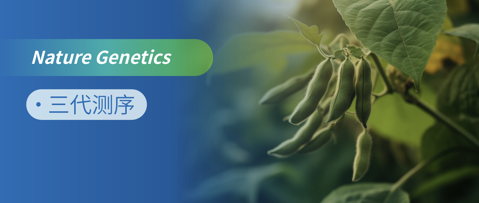 |󶹻MDηMʾSVNеĹ{ؙC