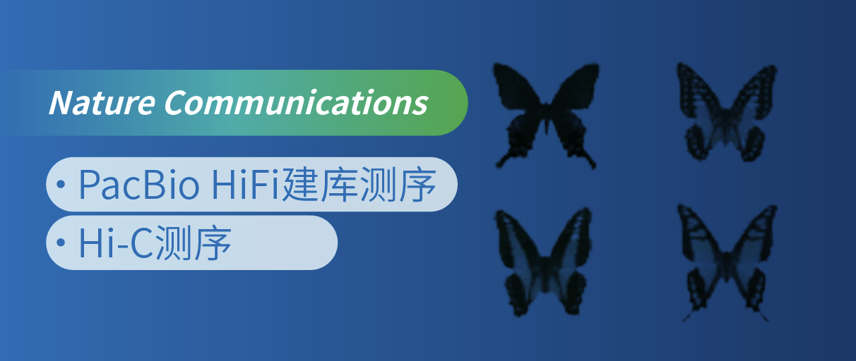 T2T鼰Hi-Cy3DȾɫʽṹо