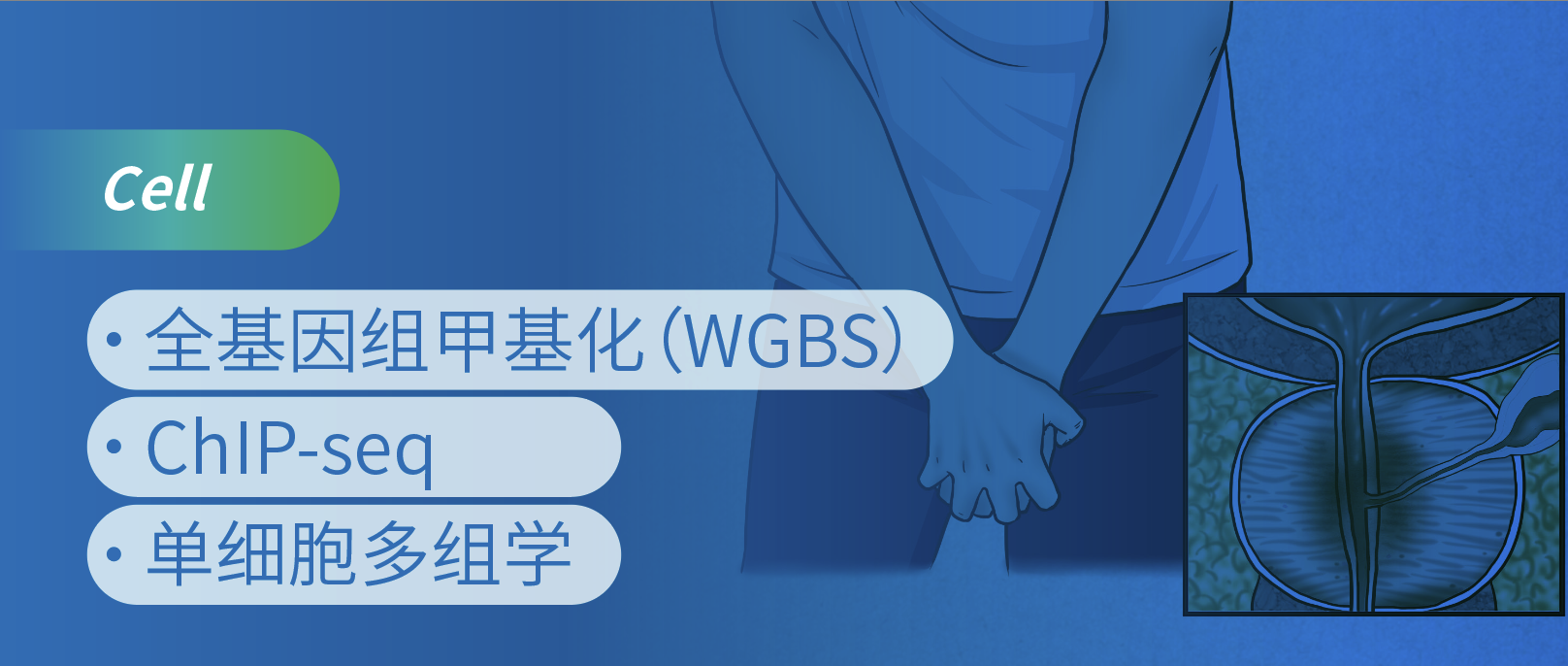 DNAͼ׻ĬǰٰCTCsеĿ[߻