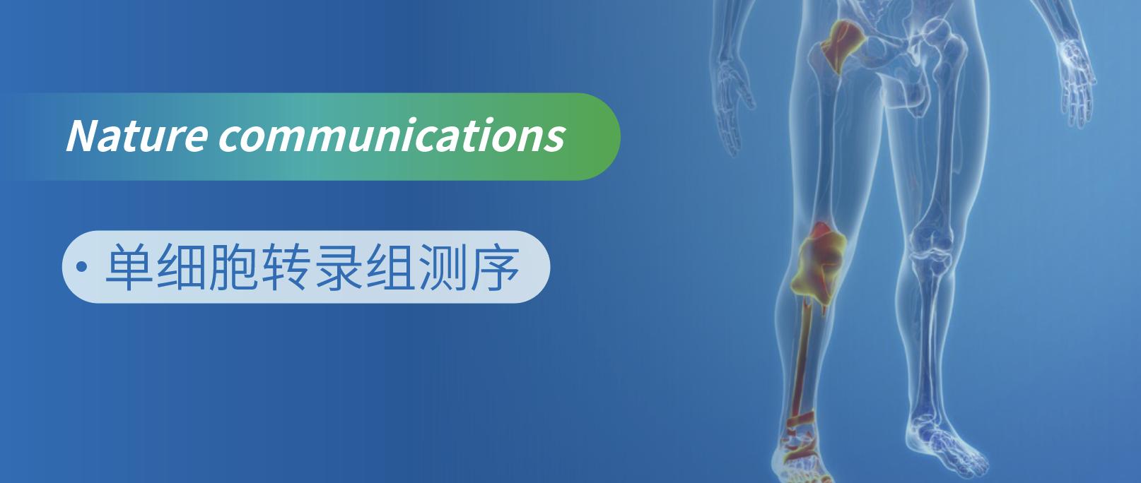 μD䛽M֢Թؽ׵Ǳ°е