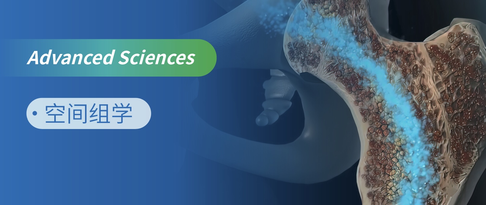 gMWʾ޸MSCsڹ΢໥û