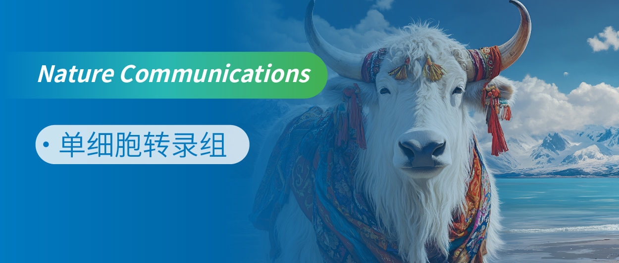 ϸD䛽MyϻװʾţӦԽŴϸ