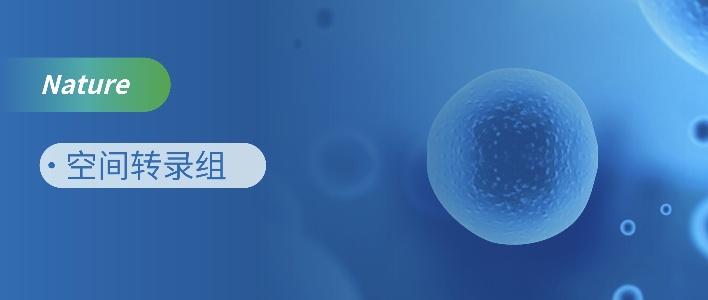 ߶˶ϸgD䛽Mѧеϸз