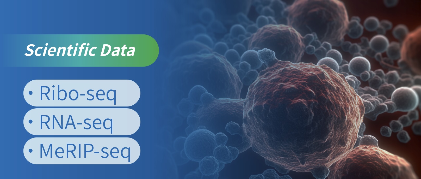 D䛽MgMԼm6AMWϷʾ˾ɼl^еĻ_ģʽ