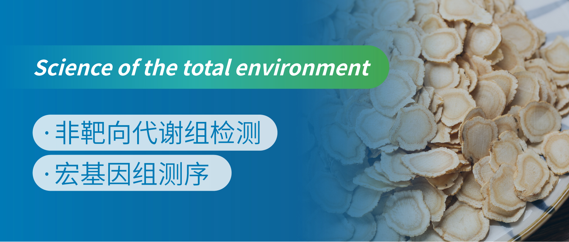 ̿ЧӺ-.֡ûעڣo󅢼QƷ|