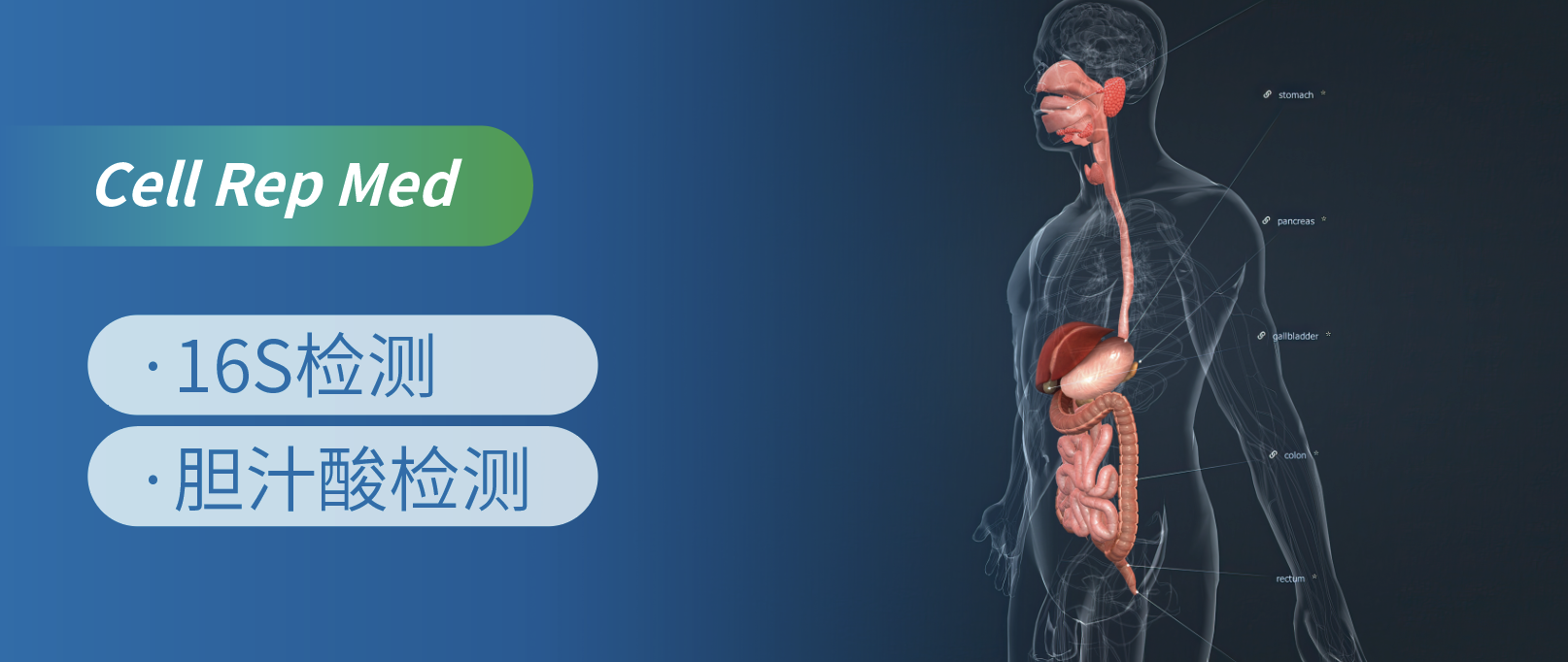 Cellӿʾbǰɱ¶cȺͼ׸ԵӰ푙C