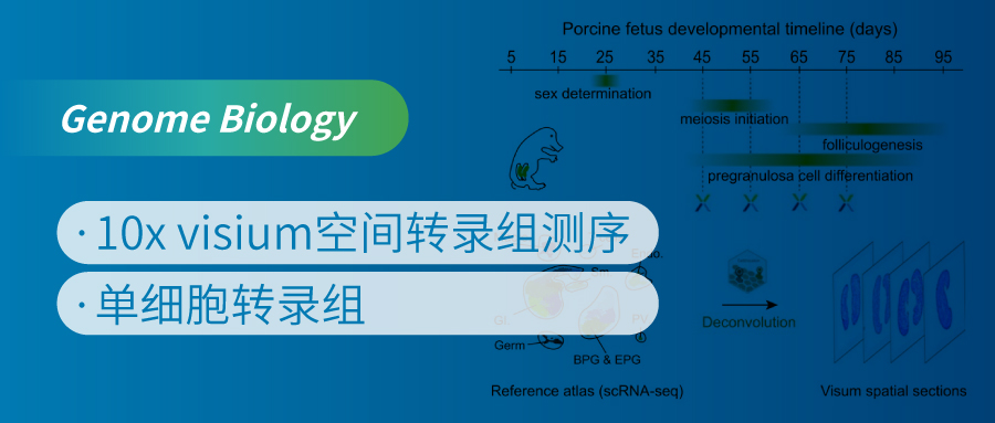 õϸgD䛽MʾӷĵػƼʱնѧ