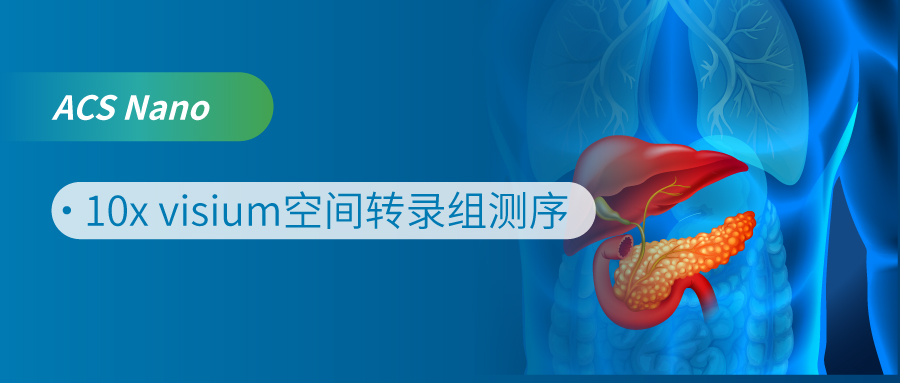 gD䛽MʾײϵٰάϸԵİ