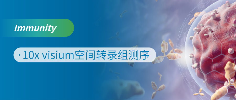 gD䛽Mp53ͻ䵼΢γɵĻ