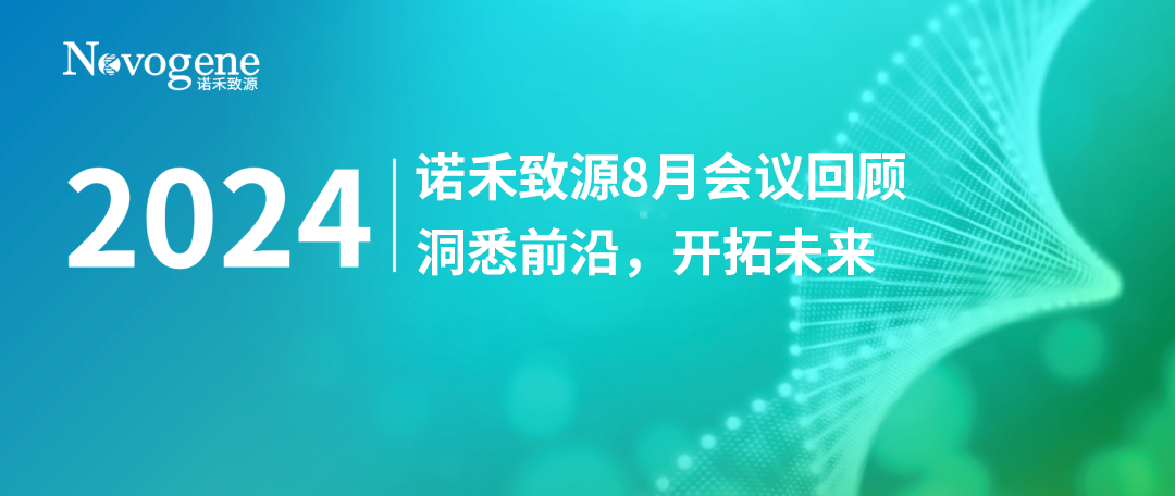 Ϥǰèй(ٷֱ֤ƽ̨δ|ZԴ8»ع