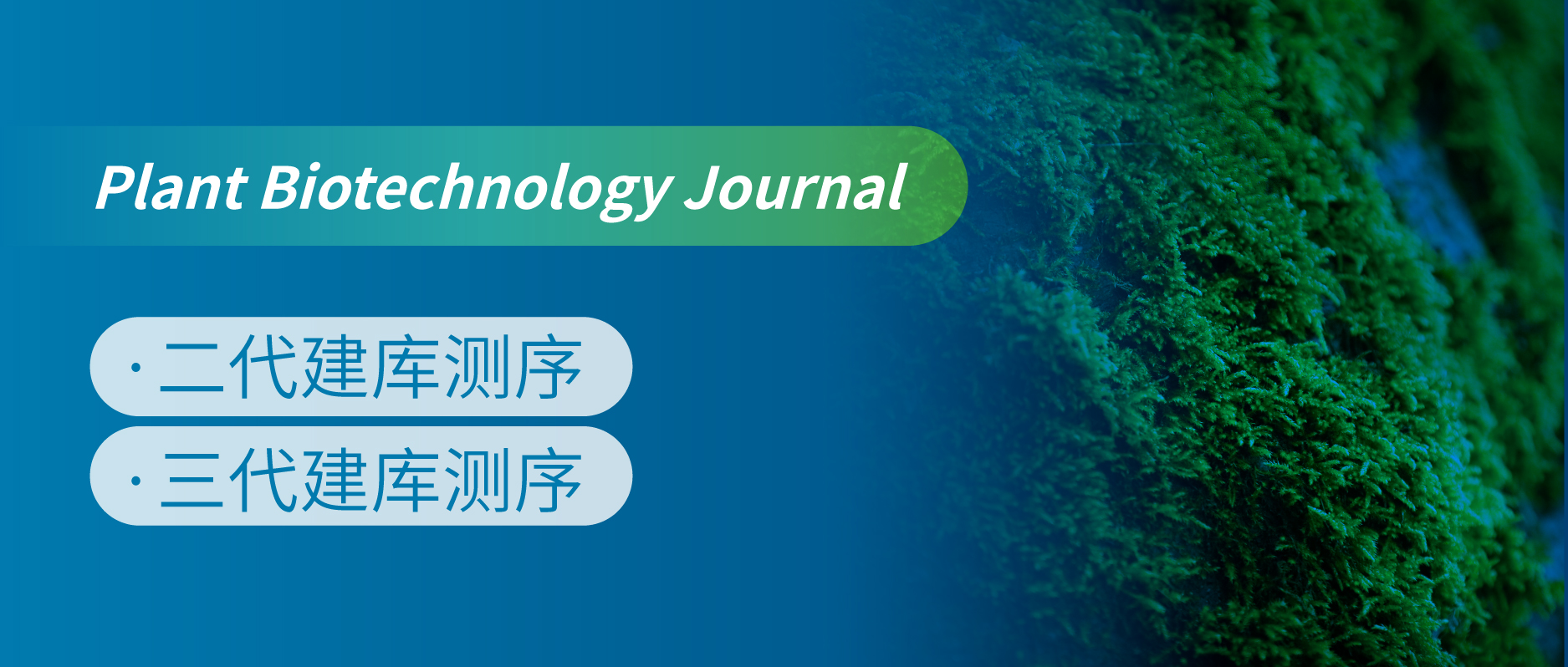 ̦޺ֲ-߳޺Perfect T2TװʾCopiaΪ˿ṹ