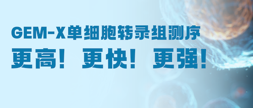 ʱ | GEM-Xϸת¼2-Ƽܳ,ָȤ!ɾ¸