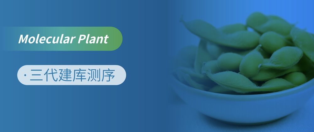 ô-ëT2TMbcȺwCʾcZô󶹵ķֻ