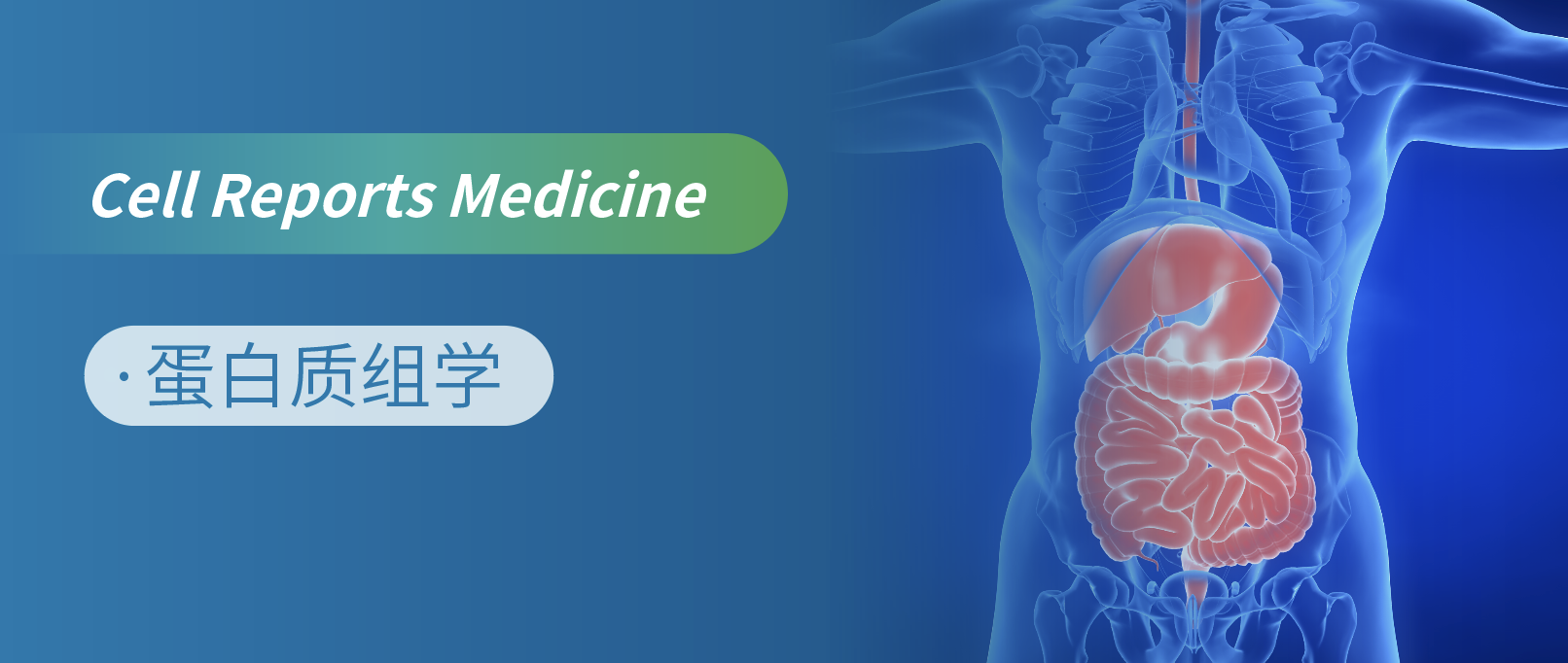 |M϶MWyΰ֢ίԵаl