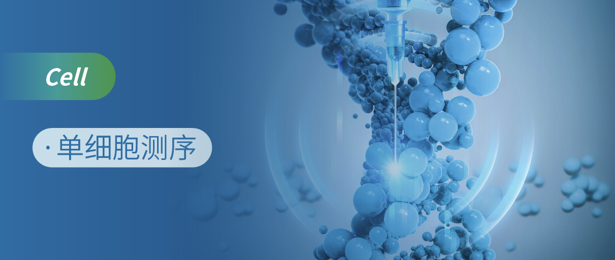 μyʾiPSCԴCAR-NKϵͳӲ֢