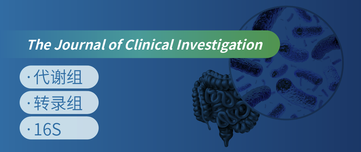 x+D+16SMWϽʾcķәC