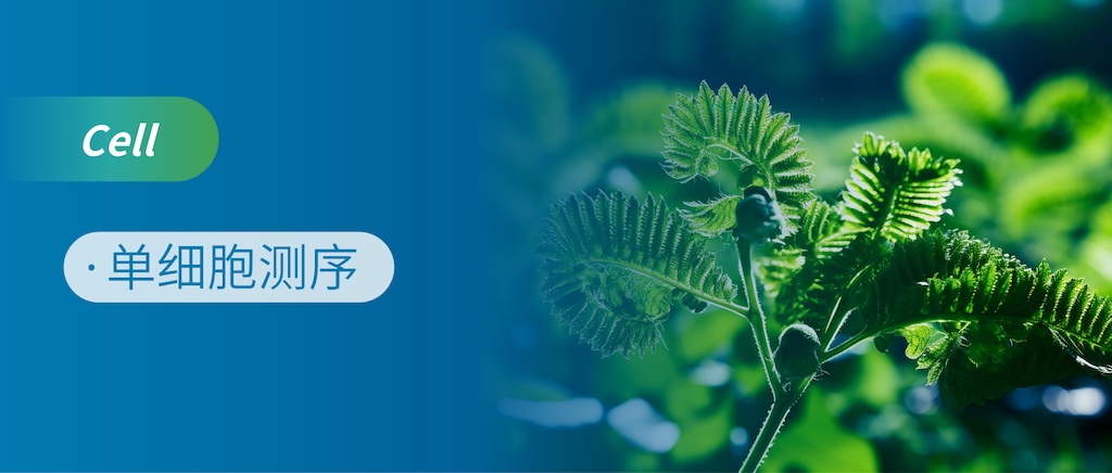 ֲμyһfun88 -ҵ˻άֲﵥϸͼ׸дֲָ