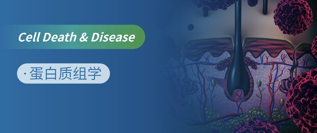 |M϶MWʾp˷ɫˎC