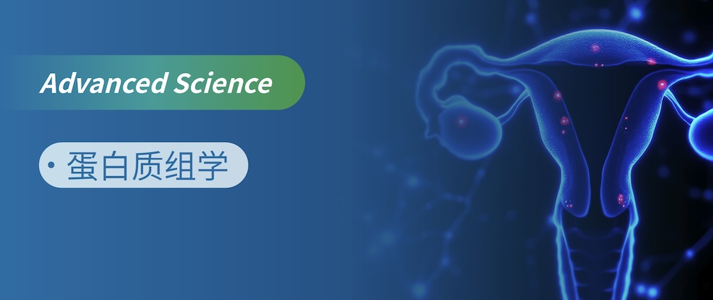 |VHPDǽ书ܣĴxøRNAYϵ׵AD