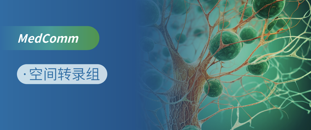 ָ߻ԭBϸܰ II ٴоDSPgD䛽M